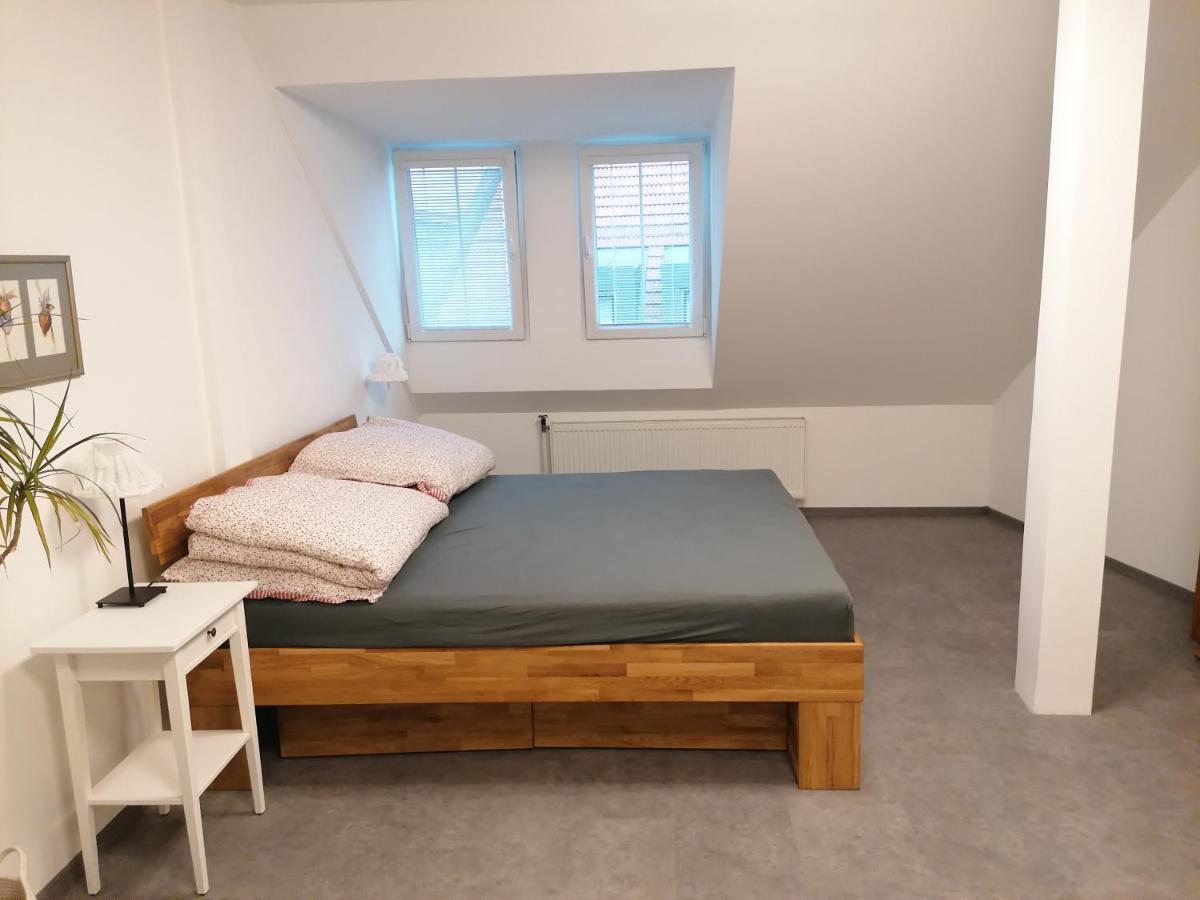 شقة Litomyšl  في Apartman U Zoubku المظهر الخارجي الصورة